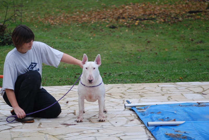 Publication : du moulin d'allamont