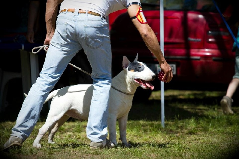 Publication : du moulin d'allamont