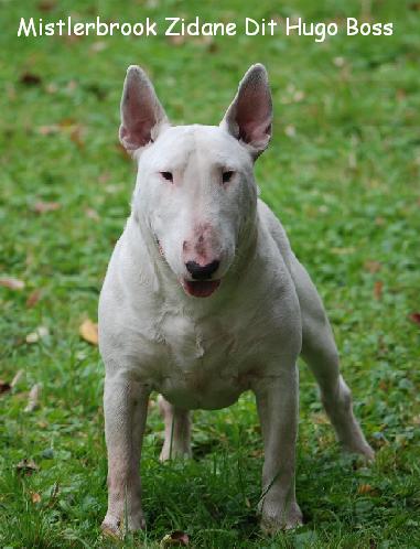 Publication : du moulin d'allamont