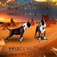 du moulin d'allamont