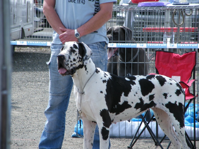 Publication : DU CASTEL DU BRAHBAN