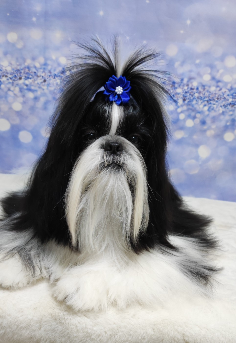 Valkyrie Lily Tchang De l'encre de chine