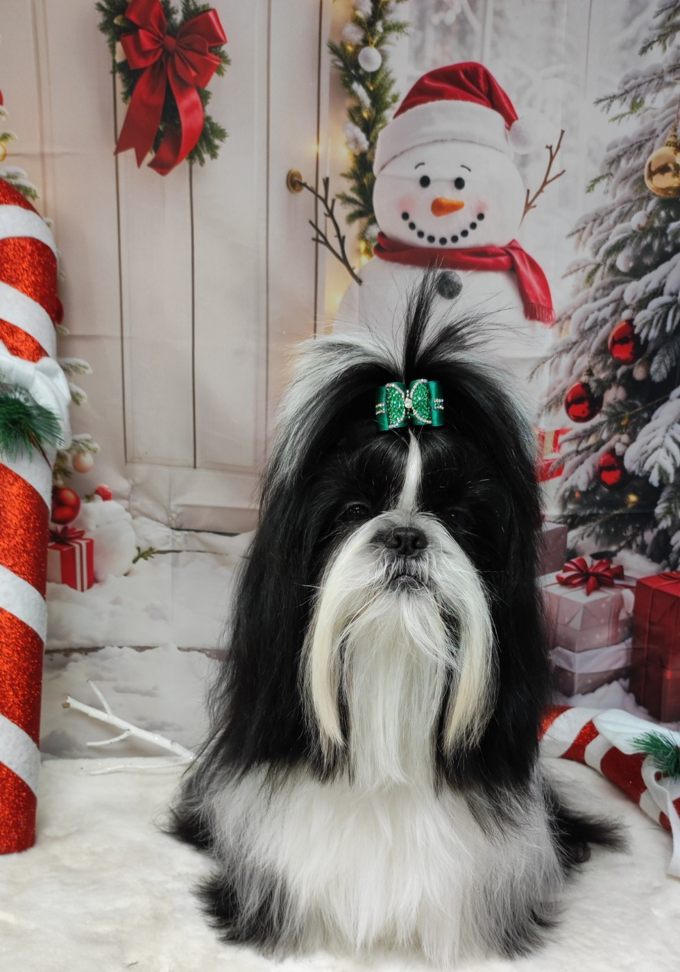 Valkyrie Lily Tchang De l'encre de chine