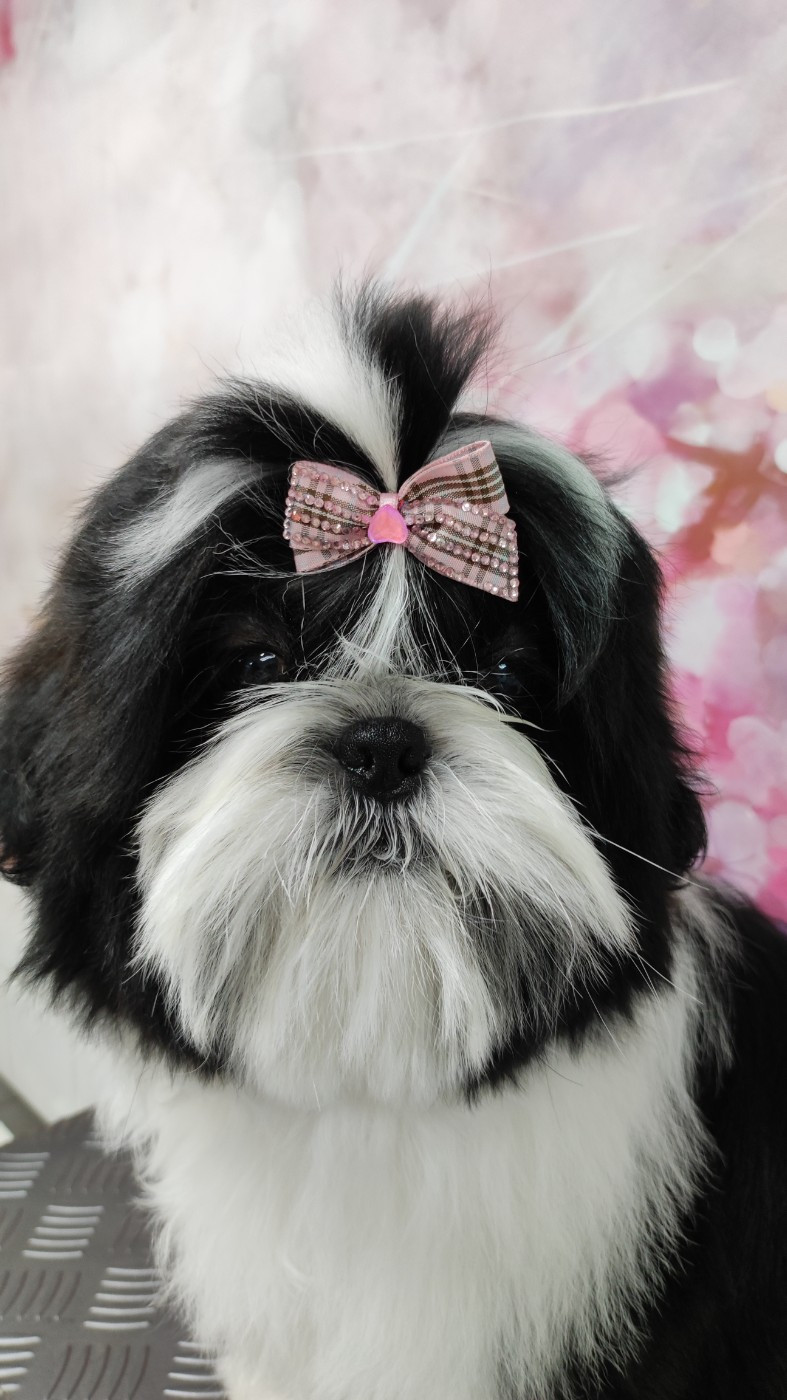 Valkyrie Lily Tchang De l'encre de chine