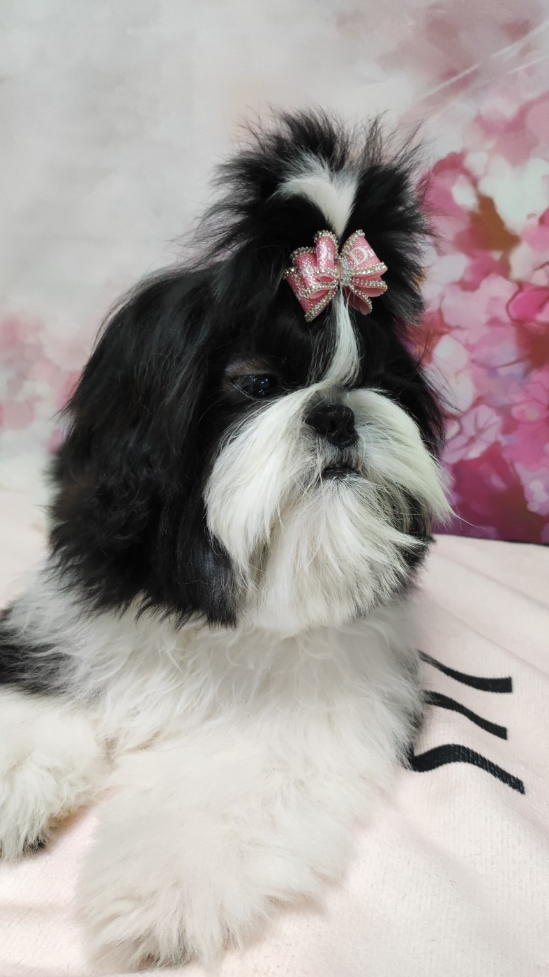 Valkyrie Lily Tchang De l'encre de chine