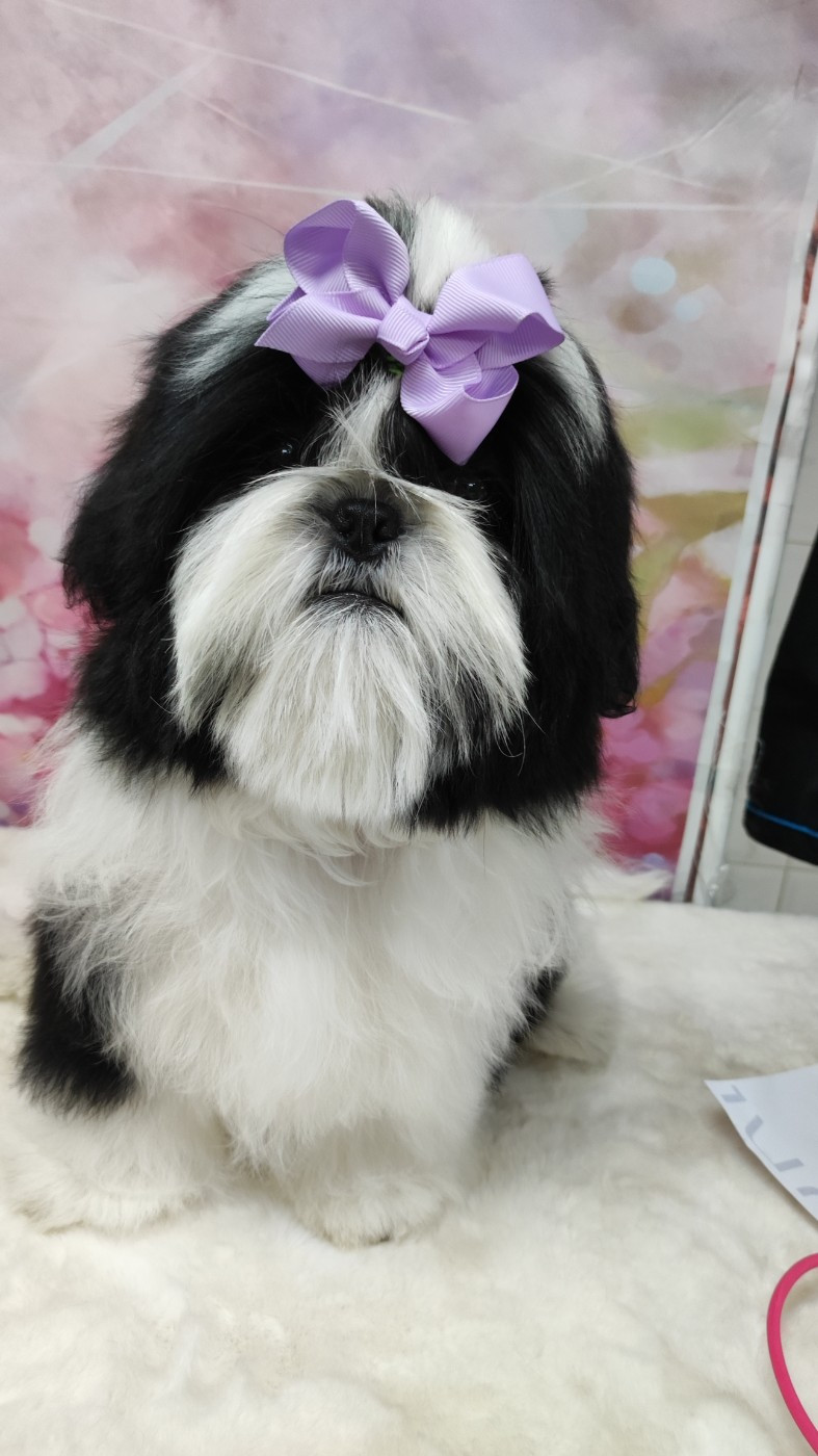 Valkyrie Lily Tchang De l'encre de chine