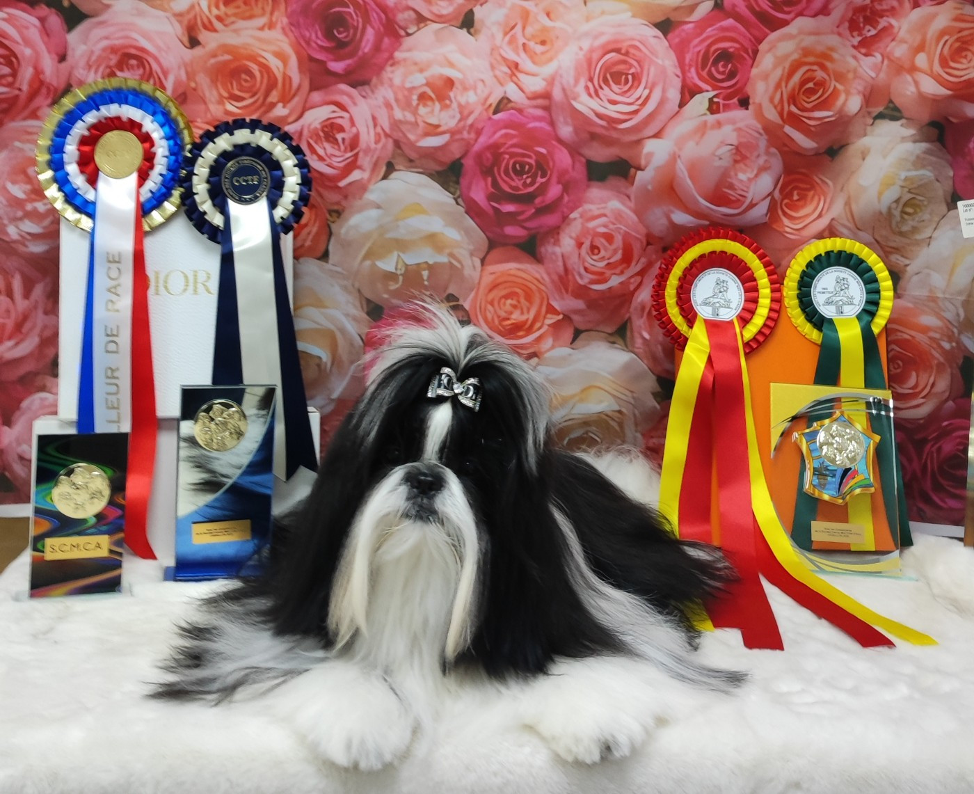 Valkyrie Lily Tchang De l'encre de chine