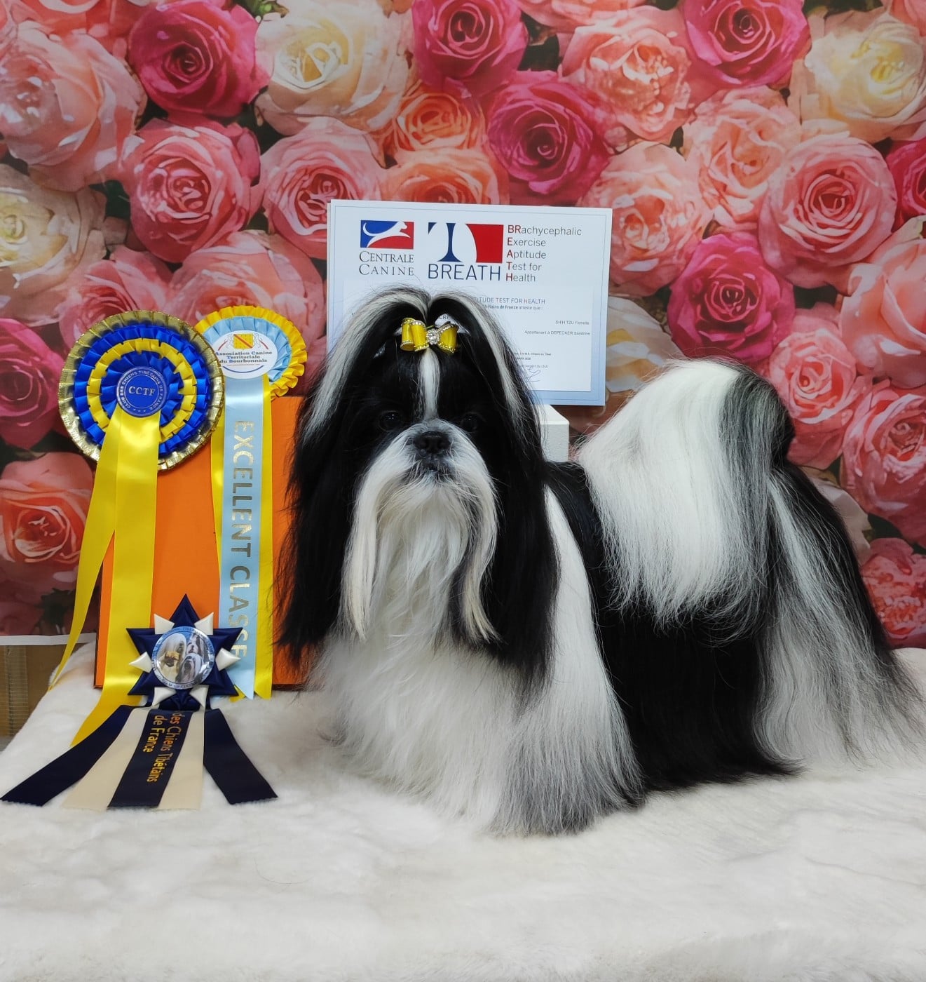 Valkyrie Lily Tchang De l'encre de chine