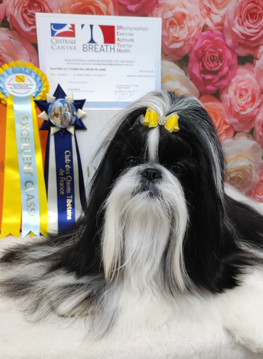 Valkyrie Lily Tchang De l'encre de chine