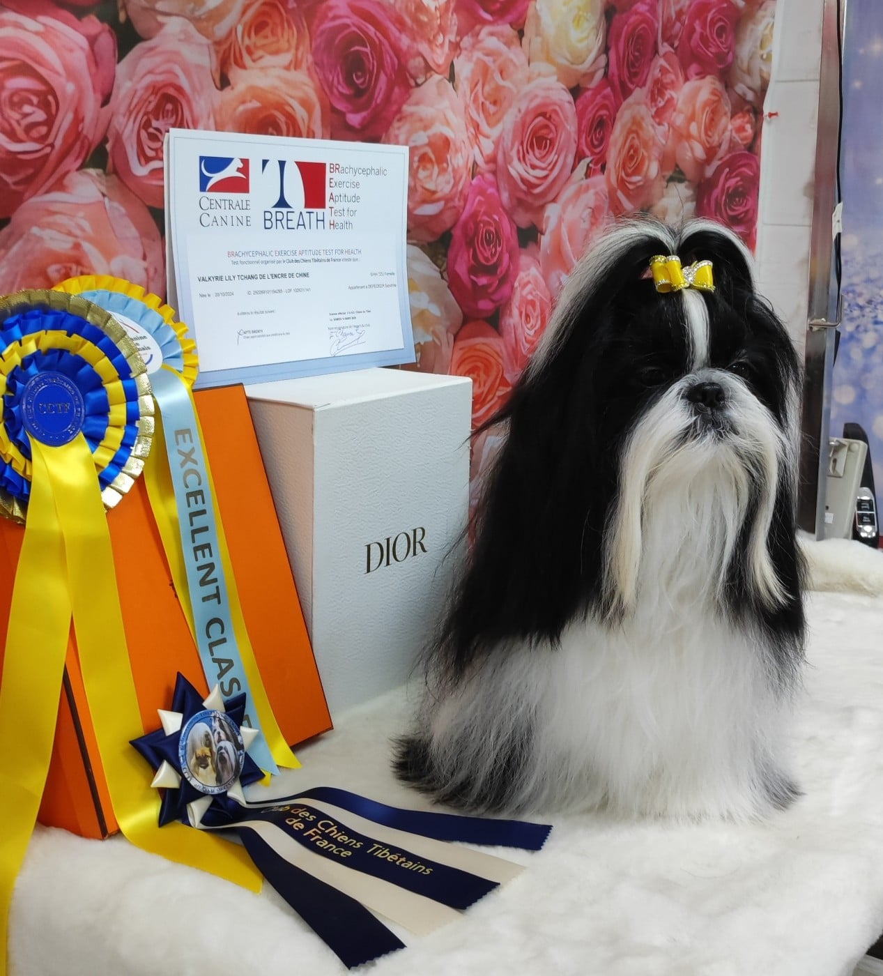 Valkyrie Lily Tchang De l'encre de chine