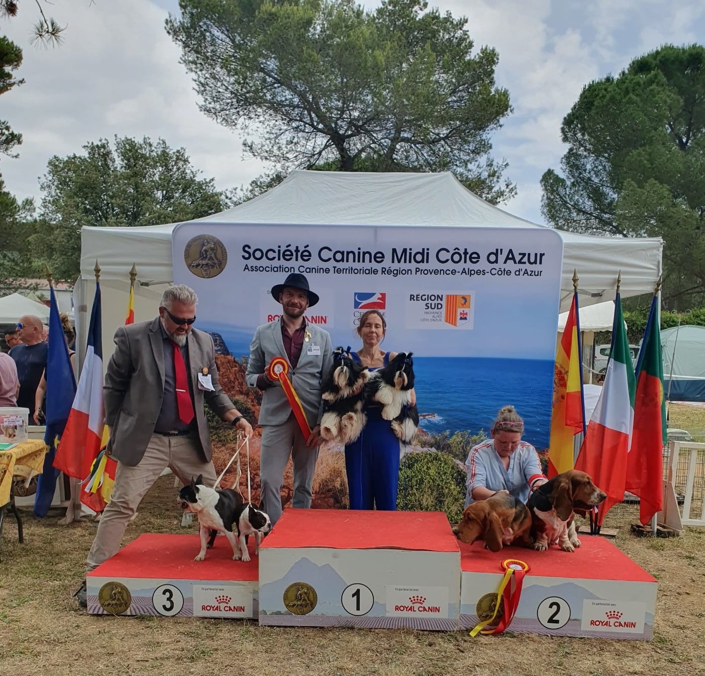 Valkyrie Lily Tchang De l'encre de chine - 2 ème Très prometteur en classe Puppy, best in show puppy avec sa s ur Vogue's New Égérie de l'Encre de Chine