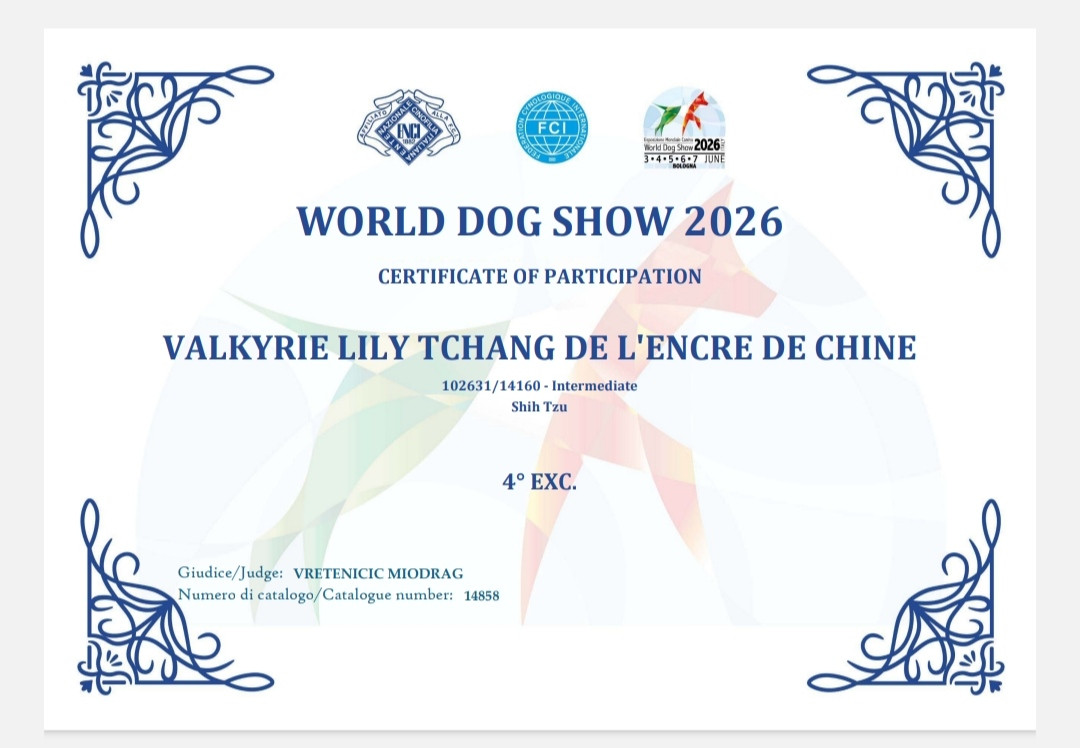 Valkyrie Lily Tchang De l'encre de chine - 4 ème EXCELLENT ( classée)