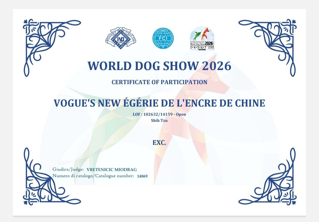 CH. Vogue's new égérie De l'encre de chine - EXCELLENT