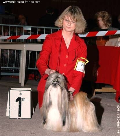CH. Z'forever From Audrey's Paradise - 1ER EXC CAC CACIB