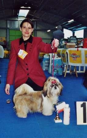 CH. Z'forever From Audrey's Paradise - 1ER TRES PROMETTEUR BOB