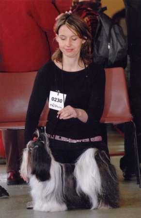 CH. Babylove From Audrey's Paradise - EXCELLENT