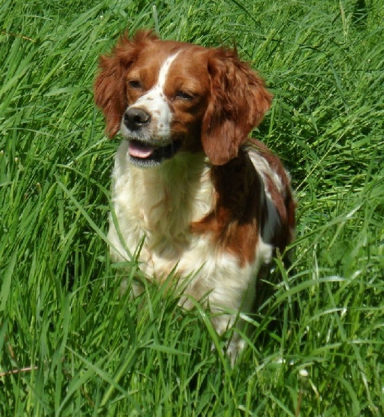 Publication : De tremouard Auteur : Sandrine FLAUX