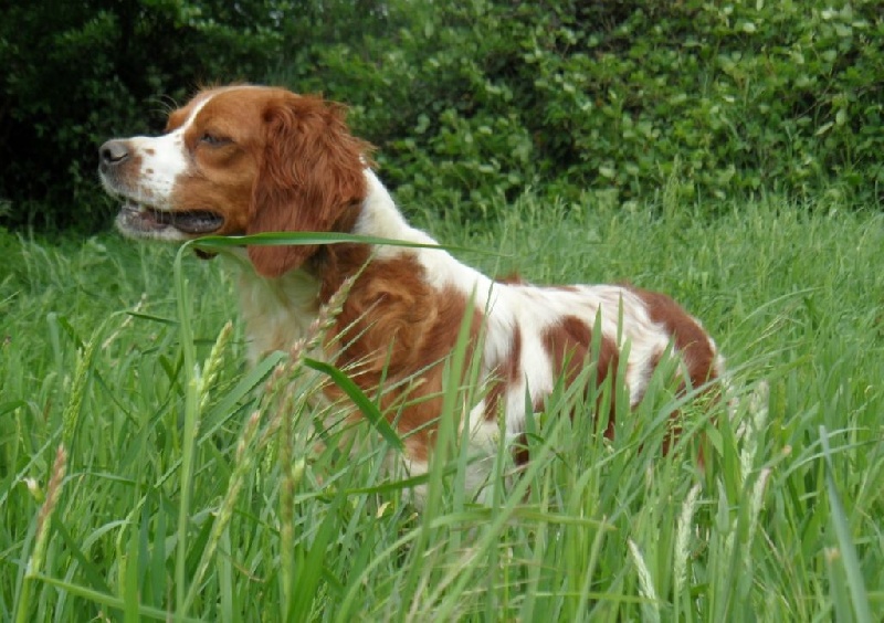 Publication : De tremouard Auteur : Sandrine FLAUX