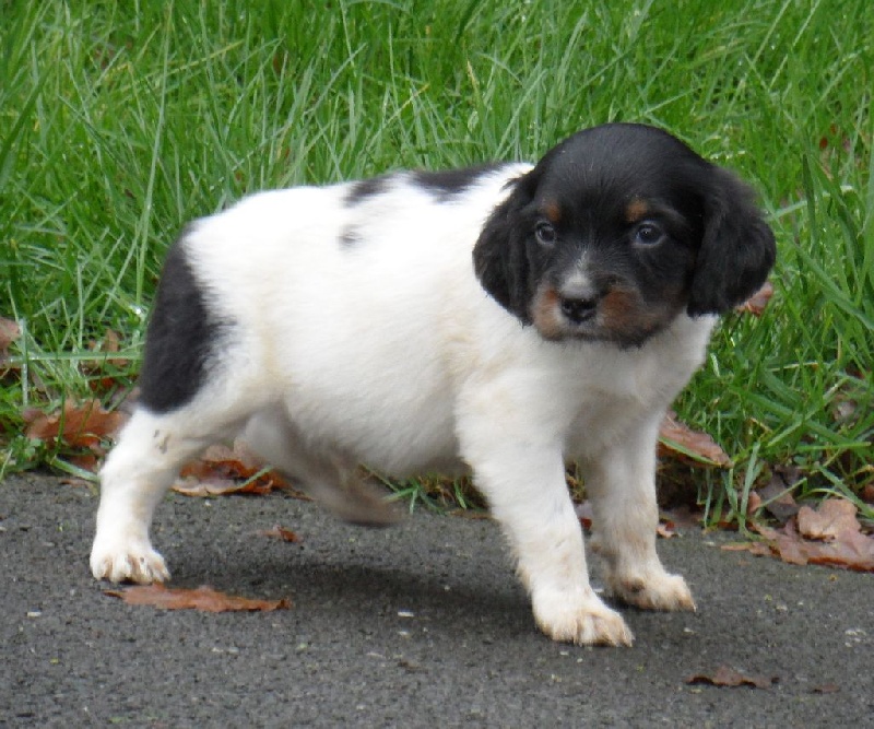 LARZAC de Trémouard