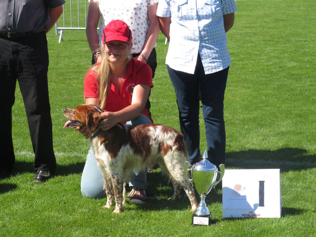 TR. CH. Lascar De tremouard - 1er EXC COMBO - CACS - MEILLEUR MALE DE LA NATIONALE D'ELEVAGE 2017