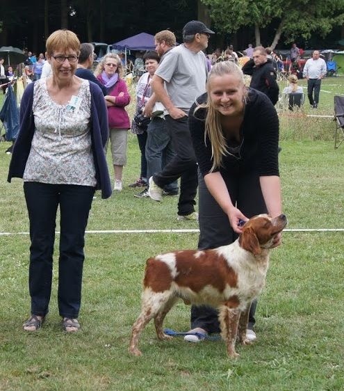 TR. CH. Homère De tremouard - 1er EXC COMBO - RCACS