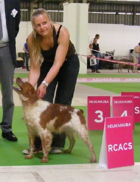 TR. CH. Homère De tremouard - 1er EXC COMBO - RCACS - RCACIB