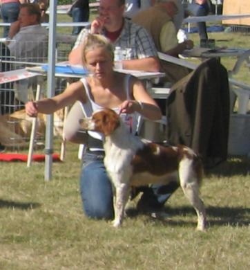 TR. CH. Diazo De tremouard - 2ème EXCELLENT - CTMBO