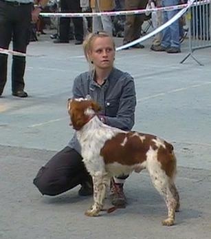 TR. CH. Diazo De tremouard - 2ème Excellent CTMBO - RCACS