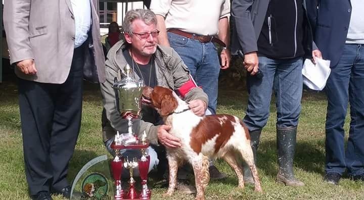 TR. CH. Homère De tremouard - 1er EXC CTMBO - CACS - GAGNANT DE LA NATIONALE D'ELEVAGE 2016