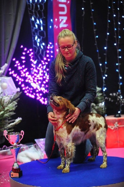 TR. CH. Lascar De tremouard - 1er Excellent CIMBO - CACS - MEILLEUR DE RACE BO - 2ème du 7ème GPE