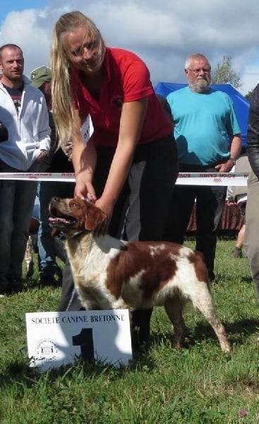 TR. CH. Homère De tremouard - 1er EXC COMBO - RCACS