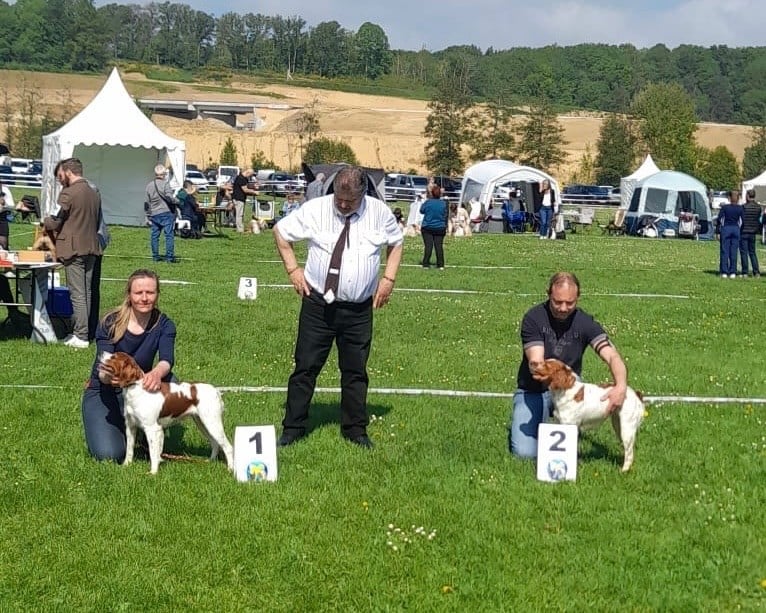 Padja De tremouard - 1er Excellent CTFBO