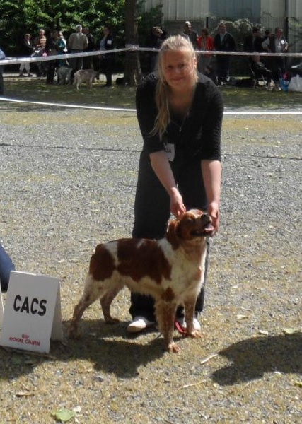 TR. CH. Homère De tremouard - 1er EXC COMBO - CACS - CACIB - MEILLEUR DE RACE