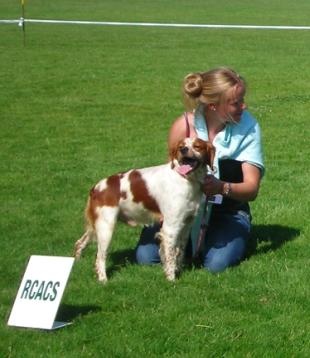 TR. CH. Diazo De tremouard - 1er EXCELLENT CTMBO - RCACS