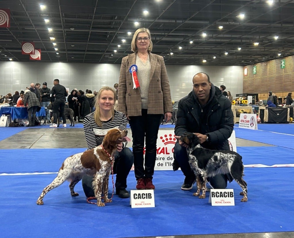 TR. CH. Sissi De tremouard - 1er Excellent COFBO - CACS - CACIB - MEILLEUR DE RACE