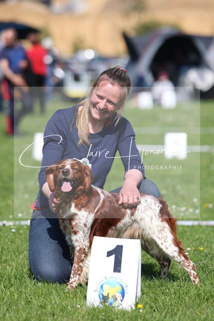 TR. CH. Sissi De tremouard - 1er Excellent COFBO - CACS - MEILLEUR DE RACE