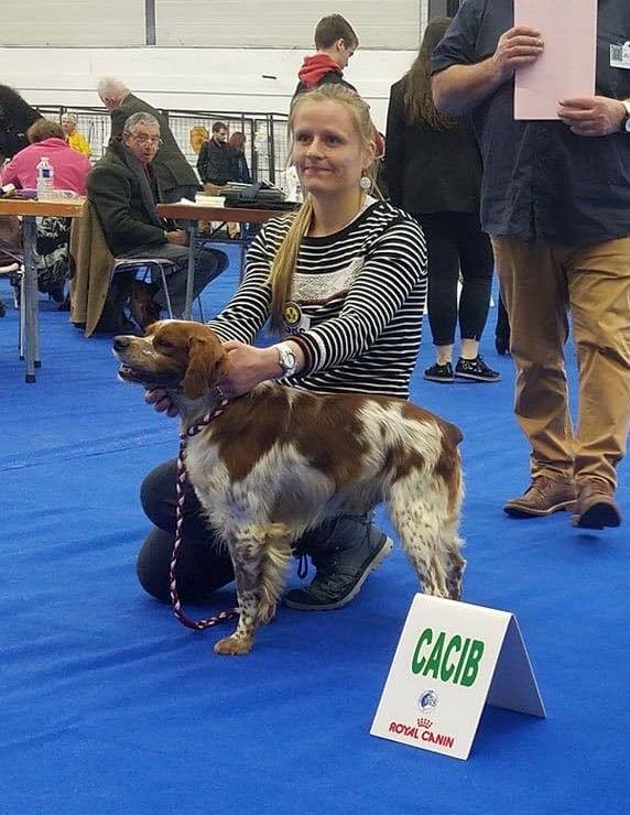 TR. CH. Lascar De tremouard - 1er Excellent CCHMBO - CACIB - MEILLEUR DE RACE DE SEXE OPPOSE