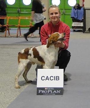 TR. CH. Diazo De tremouard - 1er EXCELLENT CCHMBO - CACIB