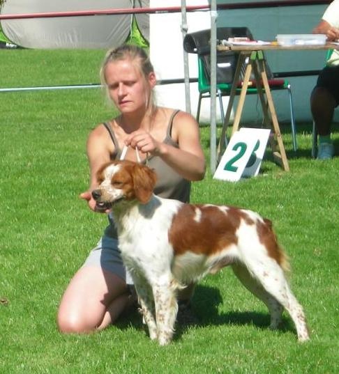 TR. CH. Diazo De tremouard - 1er EXC CTMBO CACS Meilleur de Race BO