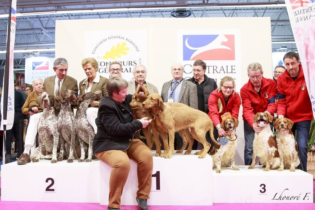 TR. CH. Lascar De tremouard - 3ème LOT D'AFFIXE DU 7ème GROUPE