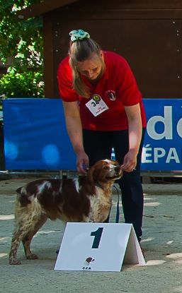 TR. CH. Lascar De tremouard - 1er Excellent CCHMBO