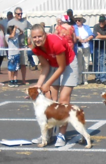 TR. CH. Diazo De tremouard - 2ème EXCELLENT CCHMBO