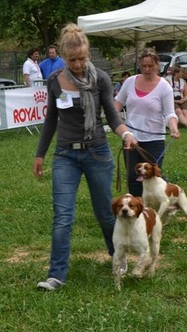 TR. CH. Diazo De tremouard - 4ème EXCELLENT CCHMBO