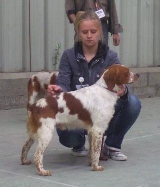 TR. CH. Diazo De tremouard - 1er EXCELLENT CTMBO - RCACS