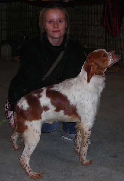 TR. CH. Diazo De tremouard - 1ère EXCELLENT - Classe Jeune