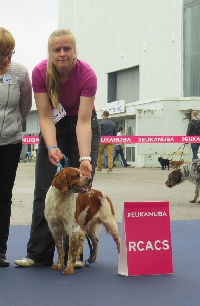 TR. CH. Homère De tremouard - 2ème EXCELLENT CTMBO - RCACS