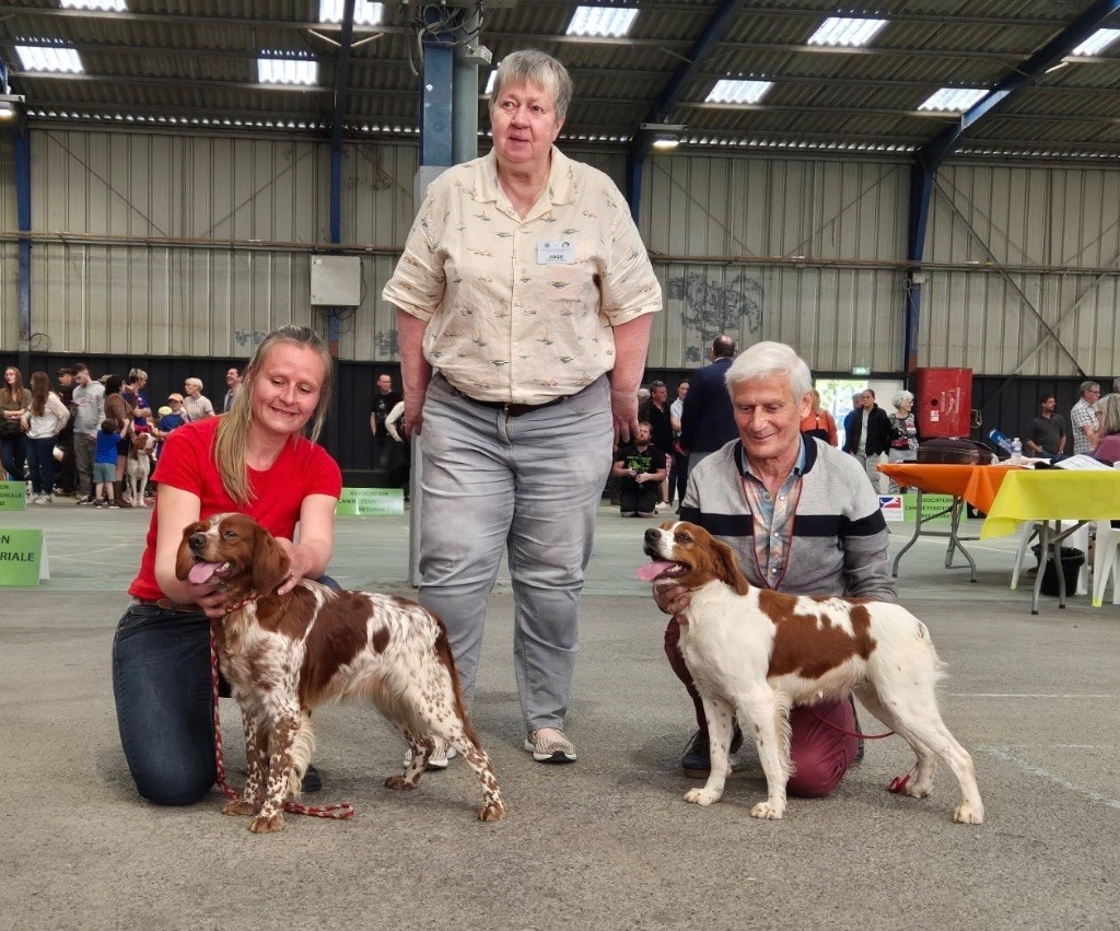 Padja De tremouard - 1er Excellent CTFBO - RCACS - RCACIB