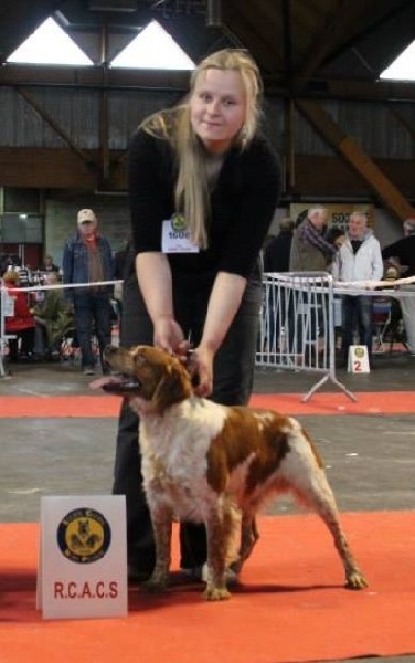 TR. CH. Homère De tremouard - 1er EXCELLENT COMBO - RCACS