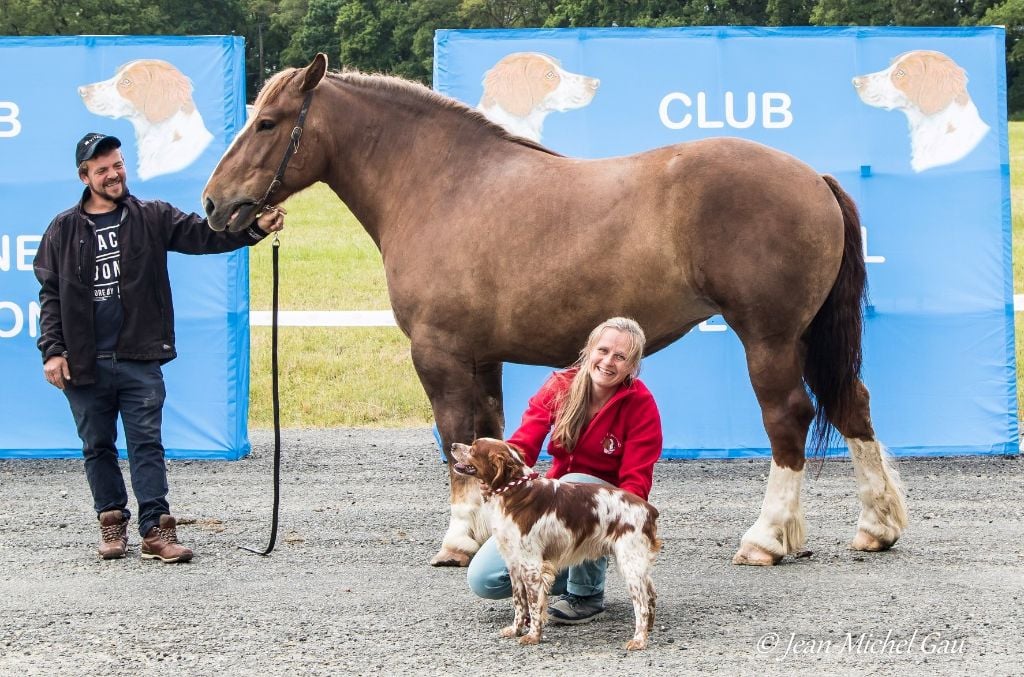 TR. CH. Lascar De tremouard - 1er Excellent CCHMBO - MEILLEUR CHAMPION - MEILLEUR DE S. OPPOSE - MEILLEUR MÂLE