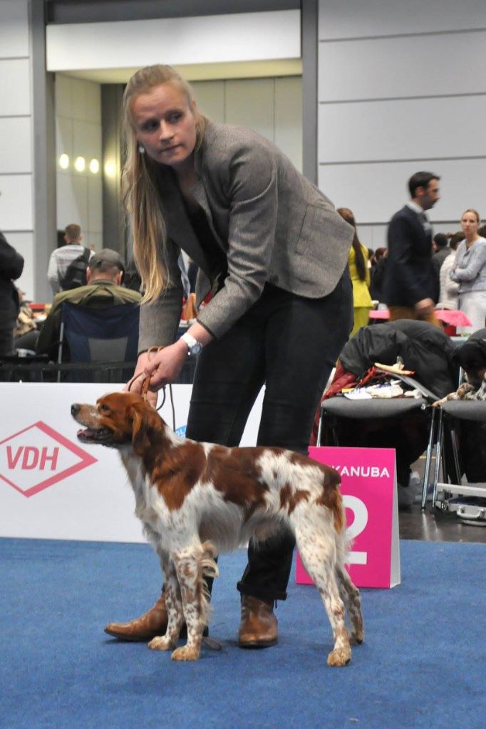 TR. CH. Lascar De tremouard - 2ème Excellent COM - RCACS